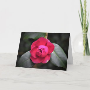 Red Rose, card