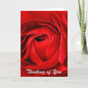 RED ROSE CARD