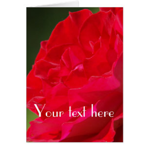 Red Rose - Card