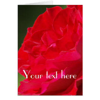 Red Rose - Card