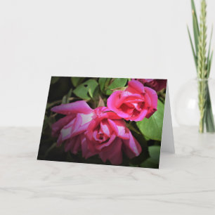 Red Rose, card