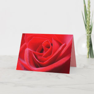 Red Rose Cards Red Flowers Custom Greeting Card