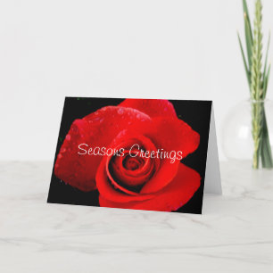 Red Rose Christmas Seasons Greetings Card