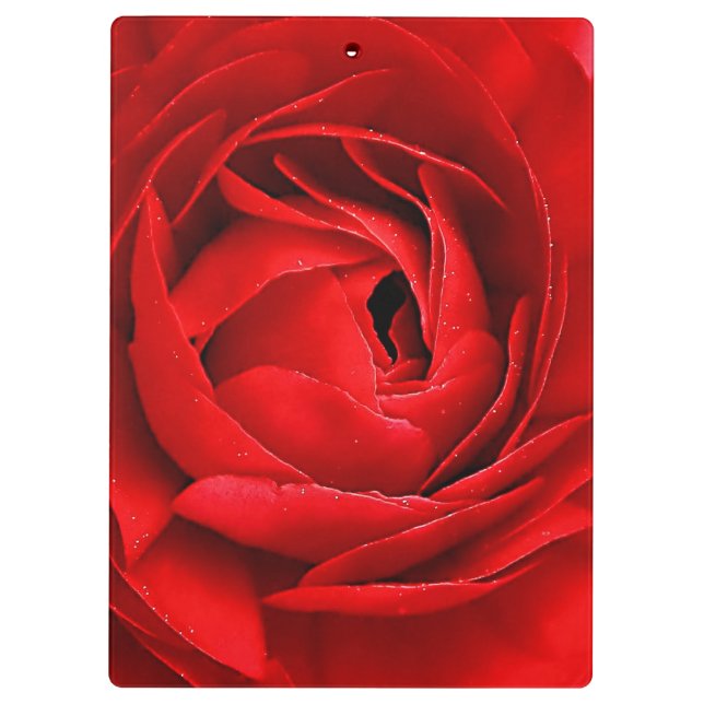 RED ROSE CLIPBOARD (Back)