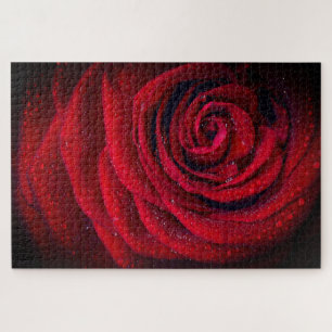 Red Rose Close-up Photo Jigsaw Puzzle