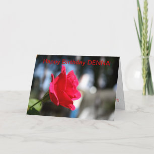 RED ROSE CLOSEUP BIRTHDAY Card