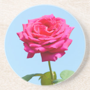 Red rose coaster