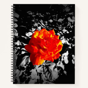 Red rose Custom 8.5" x 11" Spiral Notebook