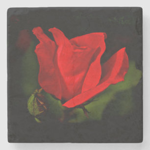 Red Rose - Dark Passion Stone Coaster