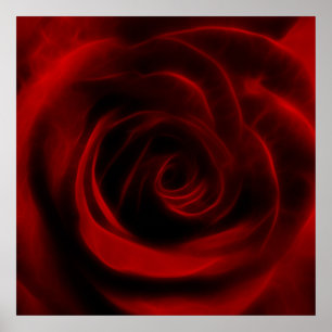 Red Rose depth of love Poster