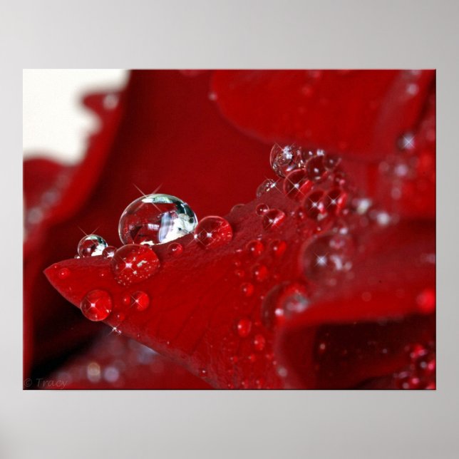 Red Rose Diamonds Poster (Front)