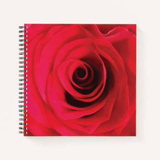 Red rose floral design notebook