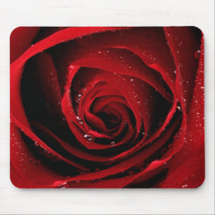 Red Rose Floral Flower Rose Petals Blossoms Dew Mouse Pad
