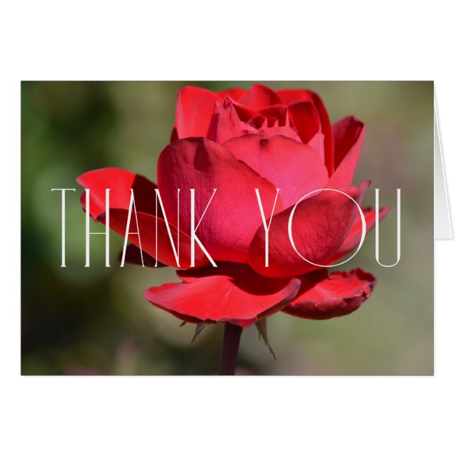 Red Rose Floral Thank You (Front Horizontal)
