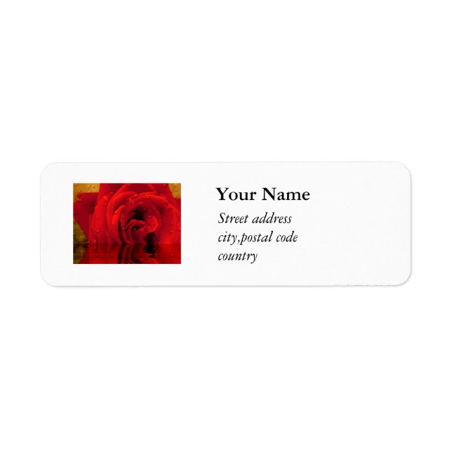 red rose flower (Front)