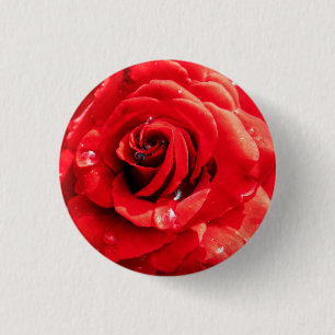 Red rose flower 3 cm round badge