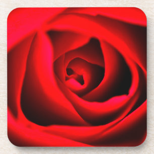 Red rose flower Coaster