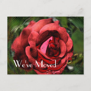 Red Rose Flower Design New Address Announcement Postcard