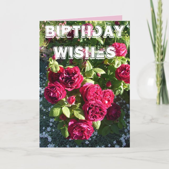 Red Rose Flower Garden floral  Happy Birthday Card (Front)