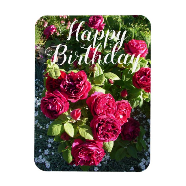 Red Rose Flower Garden floral Roses Birthday Card Magnet (Vertical)
