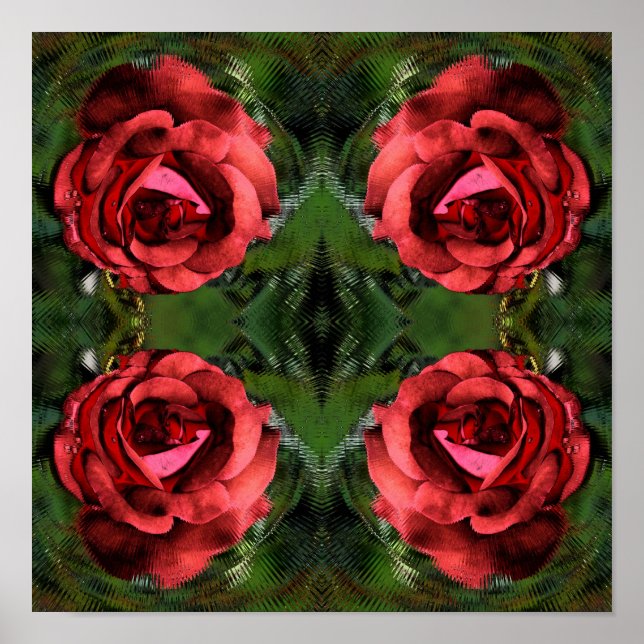 Red Rose Flower In Bloom Abstract Art  Poster (Front)