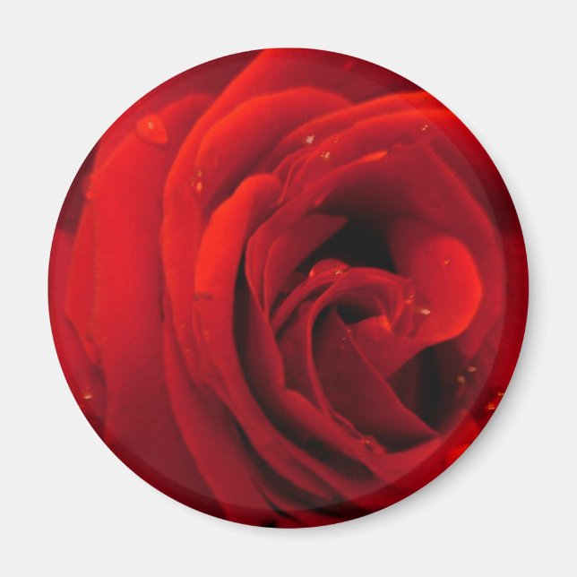 Red rose flower magnet (Front)