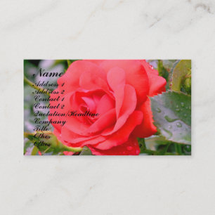 Red Rose Flower Nature Profile Business Card