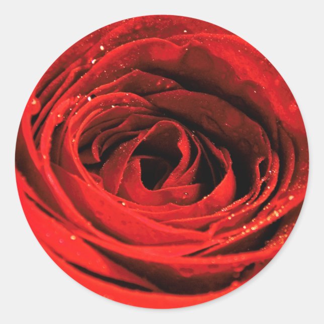 Red Rose Flower Sheet Valentines Classic Round Sticker (Front)