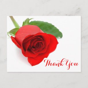Red Rose Flower Thank You Floral Postcard
