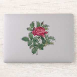 Red Rose Flowers with Green Leaves