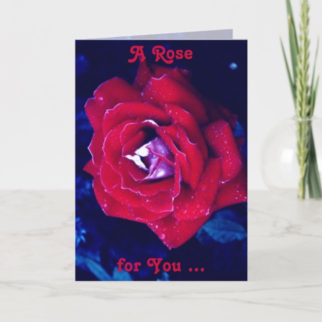 Red Rose For You Card (Front)