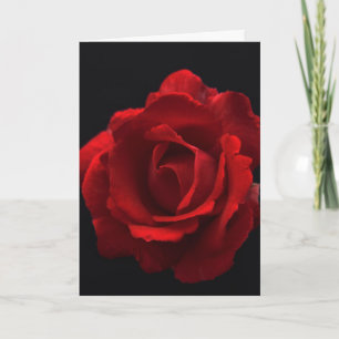 Red Rose gccnm Card