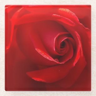 Red Rose Glass Coaster