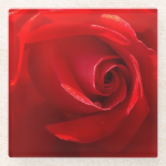 Red Rose Glass Coaster (Front)