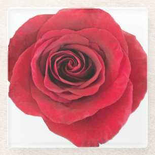 Red Rose Glass Coaster