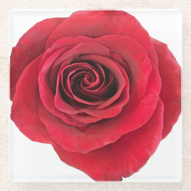 Red Rose Glass Coaster (Front)