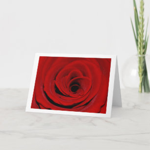 Red Rose Greeting Card