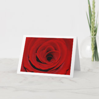 Red Rose Greeting Card