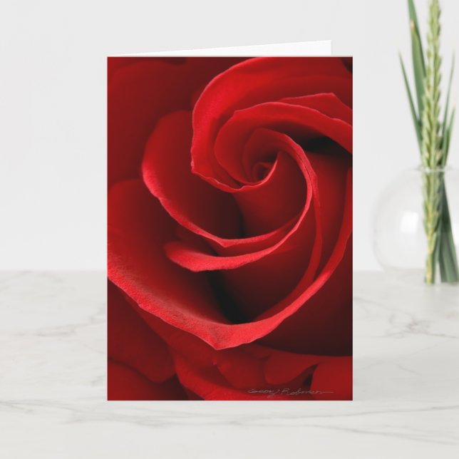 Red Rose Greeting Card (Front)