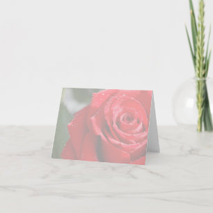 Red Rose Greeting Cards