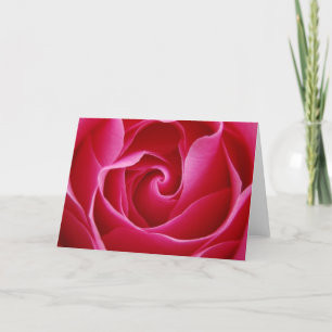 Red Rose Greetings Card