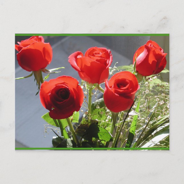 Red Rose Group Postcard (Front)