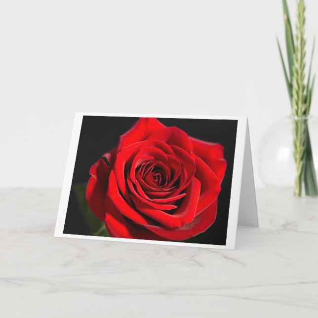 Red Rose Holiday Card (Front)