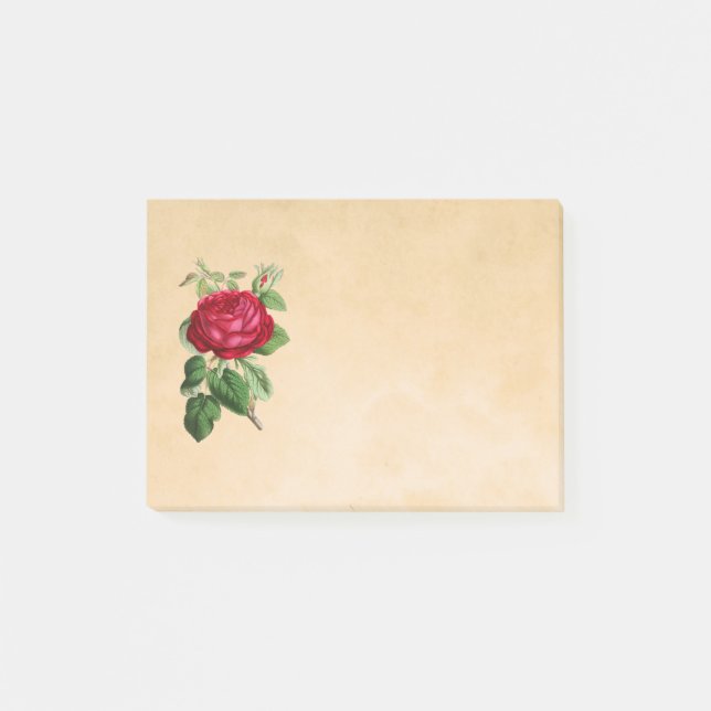 Red Rose Illustration on a Tan Background Post-it Notes (Front)