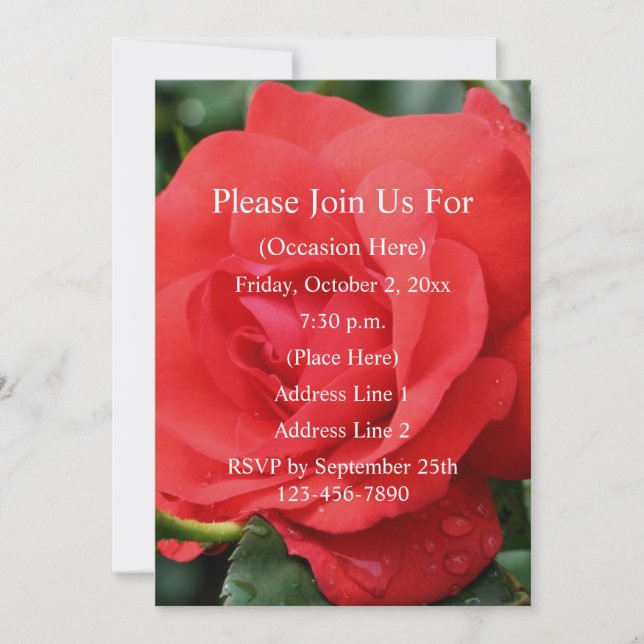 Red Rose In Bloom Floral  Invitation (Front)