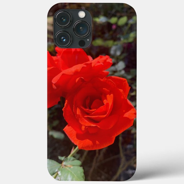 Red Rose iPhone 13 Pro Max Case (Back)