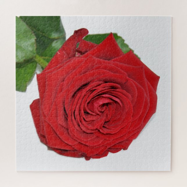 Red Rose Jigsaw Puzzle (Horizontal)