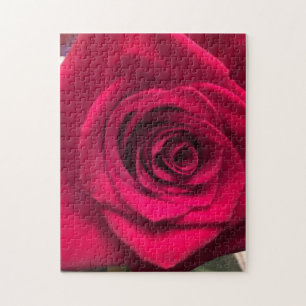 Red Rose Jigsaw Puzzle