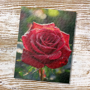 Red rose jigsaw puzzle