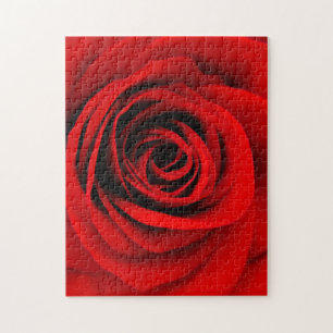 Red Rose Jigsaw Puzzle